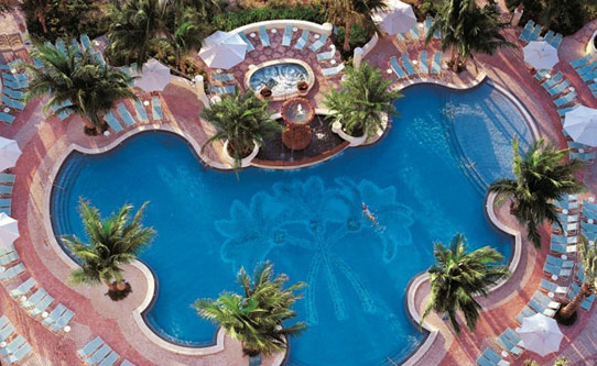 loews-miami-beach-hotel-swimming-pool